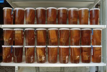 Koniec z takim miodem. Zmiany wchodzą od 14 czerwca