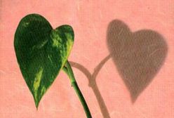 Pendragon 1. Wędrowiec