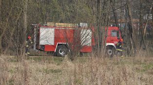 Na polu pod Grudziądzem zapalił się pickup, a od niego słoma
