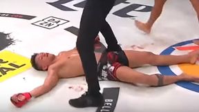 MMA. Efektowny nokaut na Bellatorze. "Jeden z najbardziej szalonych ciosów" (wideo)