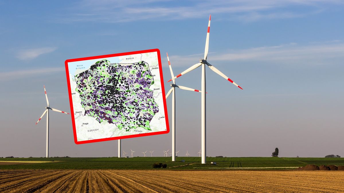 Turbiny wiatrowe. Elektrownia wiatrowa