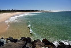 Australia. Zamknięto 20-kilometrowy odcinek plaży po śmiertelnym ataku rekina