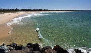 Australia. Zamknięto 20-kilometrowy odcinek plaży po śmiertelnym ataku rekina
