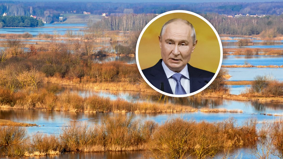 Mokradła pomogły zatrzymać rosyjską inwazję na Kijów
