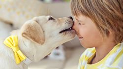 Właściciele psów i kotów bardziej narażeni na groźne choroby