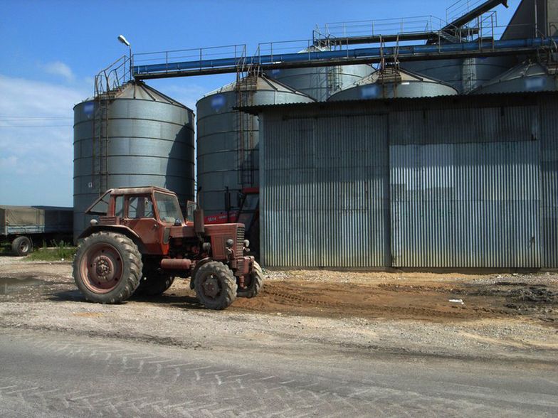 Kernel zwiększył sprzedaż zboża o ponad 70 procent