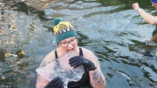 Łódź: Morsy wskoczyły do zimnej wody w ogrodzie zoologicznym