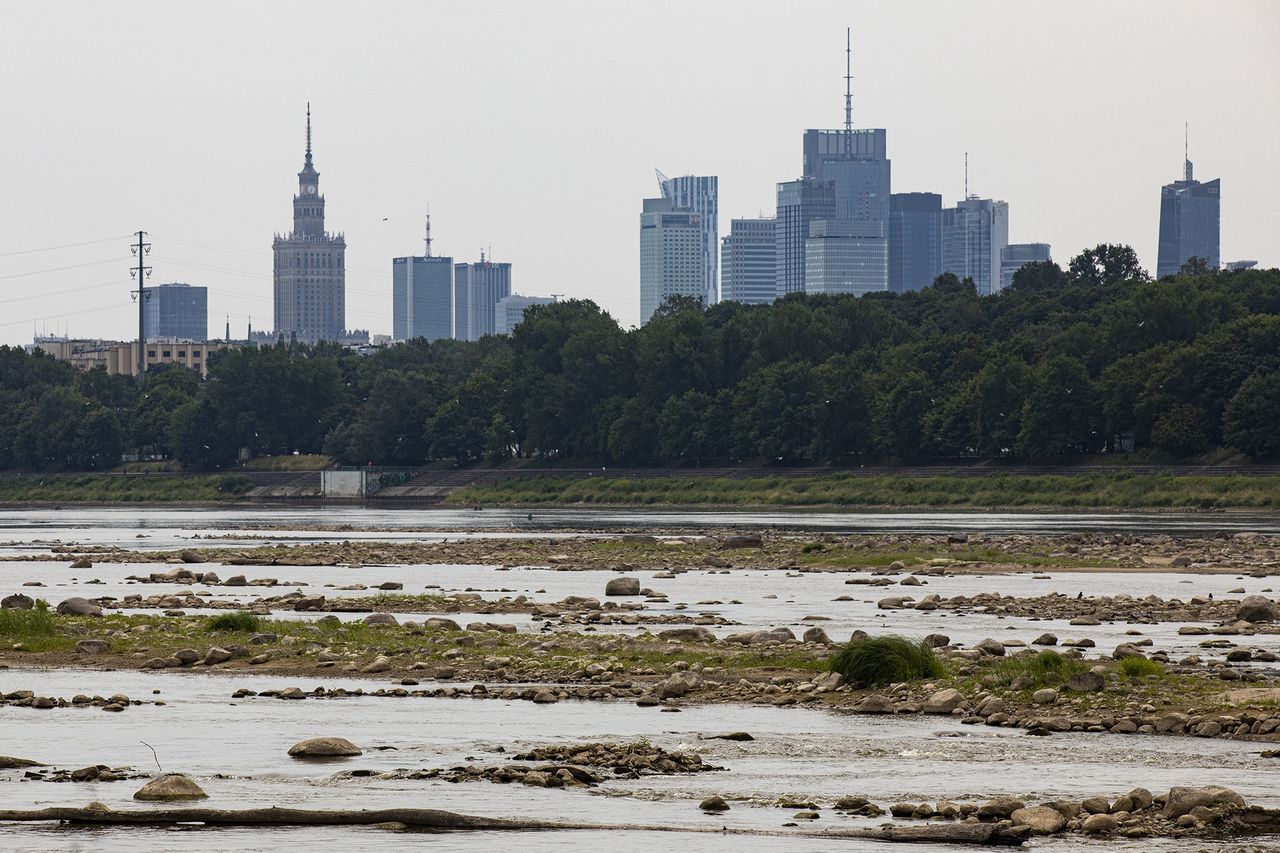 Rzeki w Polsce wysychają. Skutki suszy hydrologicznej coraz poważniejsze