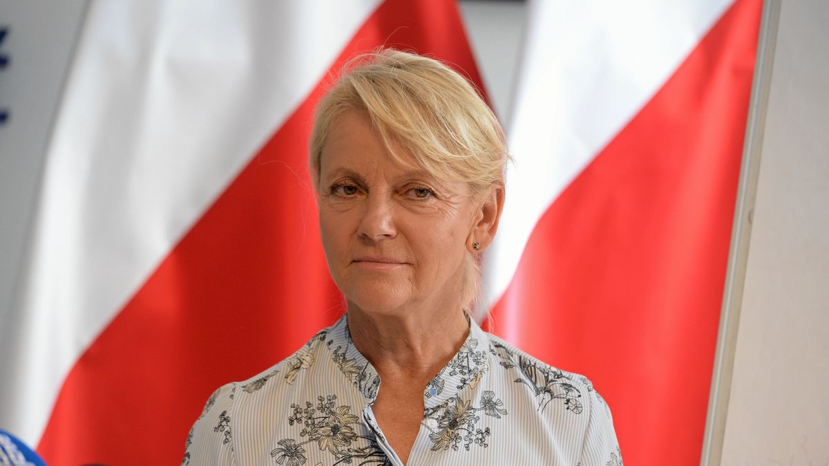 Małgorzata Jacyna-Witt opowiedziała szczerze o PiS. 