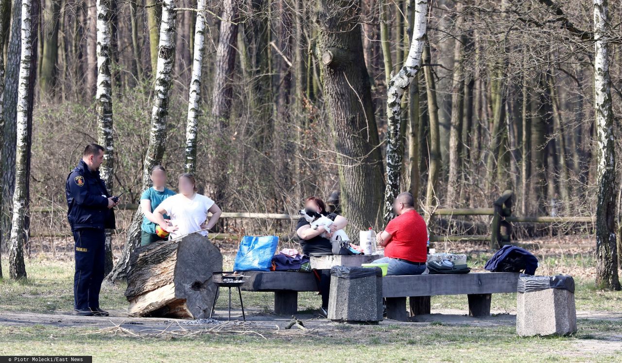 Jak uniknąć mandatu w majówkę. Wszystko co trzeba wiedzieć o grillowaniu i zabawie na świeżym powietrzu 