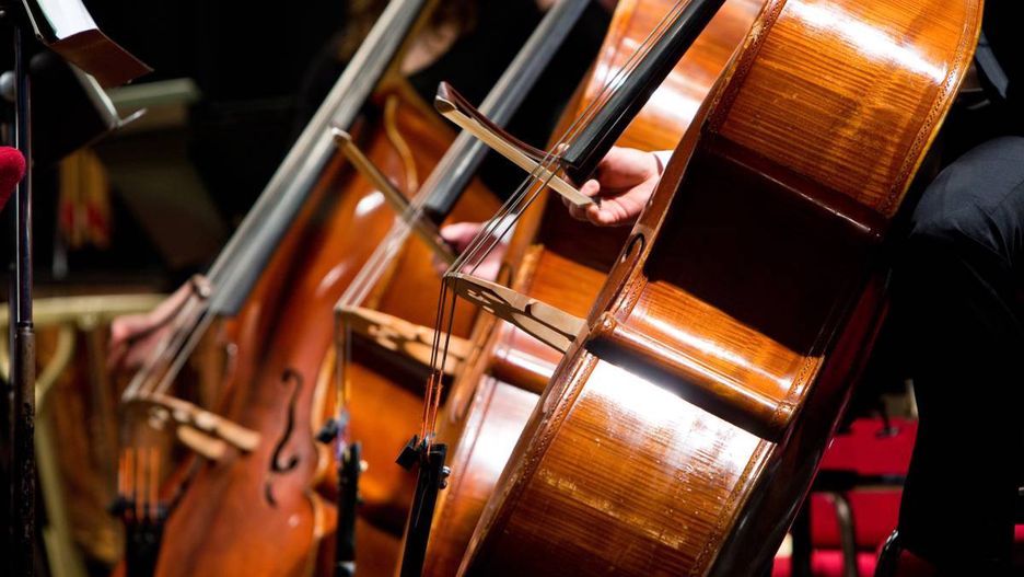 kontrabass, streichinstrument, saiten, musik, instrument, musiker, klassisch, jazz, philharmonie, orchester, bühne, auftritt, konzert, bogen, streichen, mensur, sinfonieorchester, schalllöcher, f-löcher, melodie, klang, ton, fünfsaiter, saite, transponierend, gambe, kontrabassist, oberzarge, arcospiel, cello, pizzicatospiel, klassik, virtuos, musikschule, musikunterricht, instrumentenkunde, violoncello, bratsche, klangkörper, bass, zupfen, holz, griffbrett