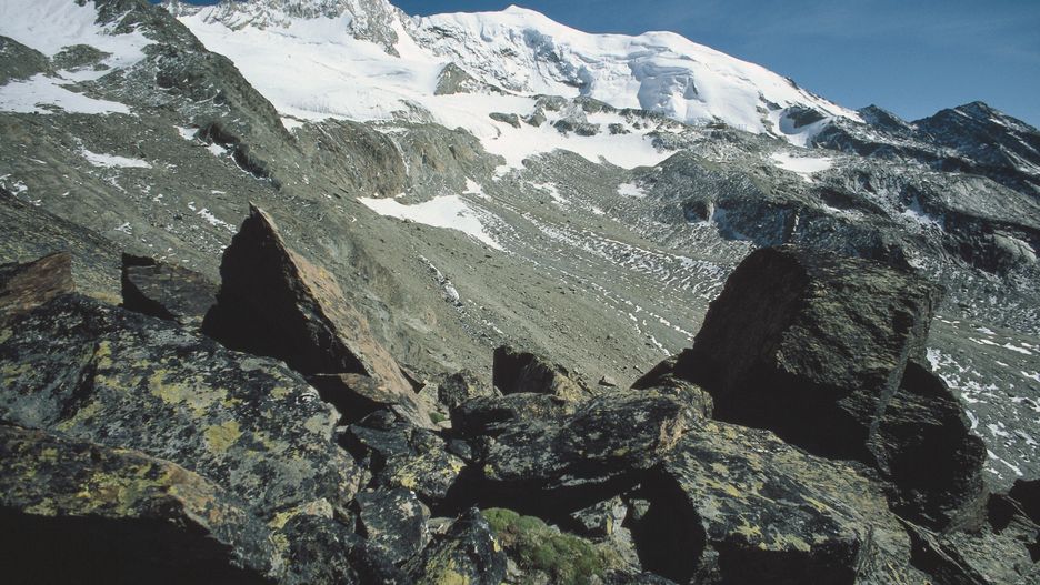 Masyw Weissmies w szwajcarskich Alpach