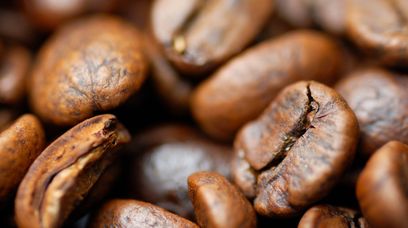 Uprawa bezkofeinowych ziaren kawy coraz bliżej. Naukowcy informują