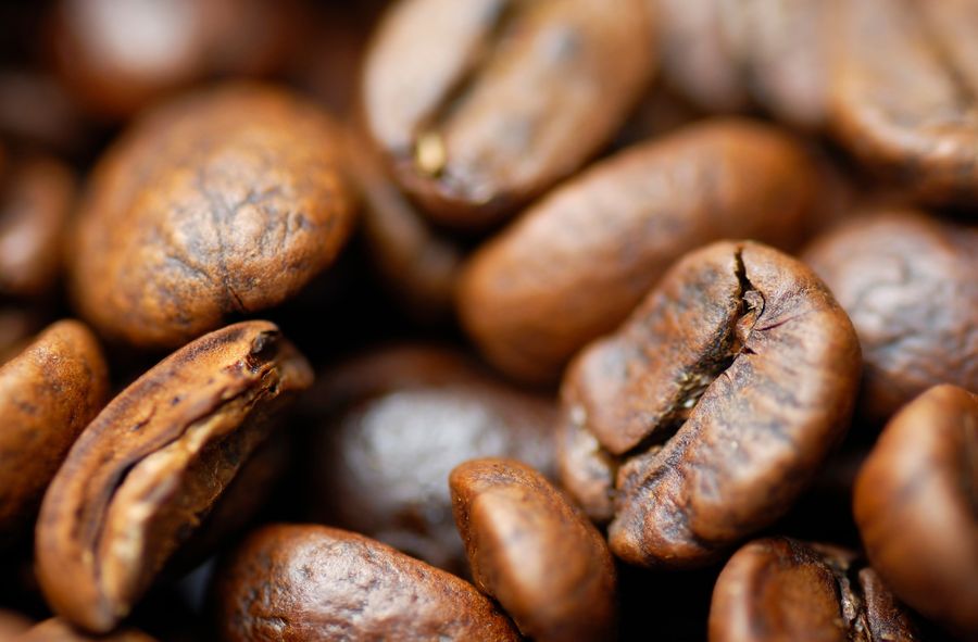 Uprawa bezkofeinowych ziaren kawy coraz bliżej