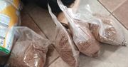 Bydgoszcz: Duża ilość narkotyków, 48-latek w areszcie