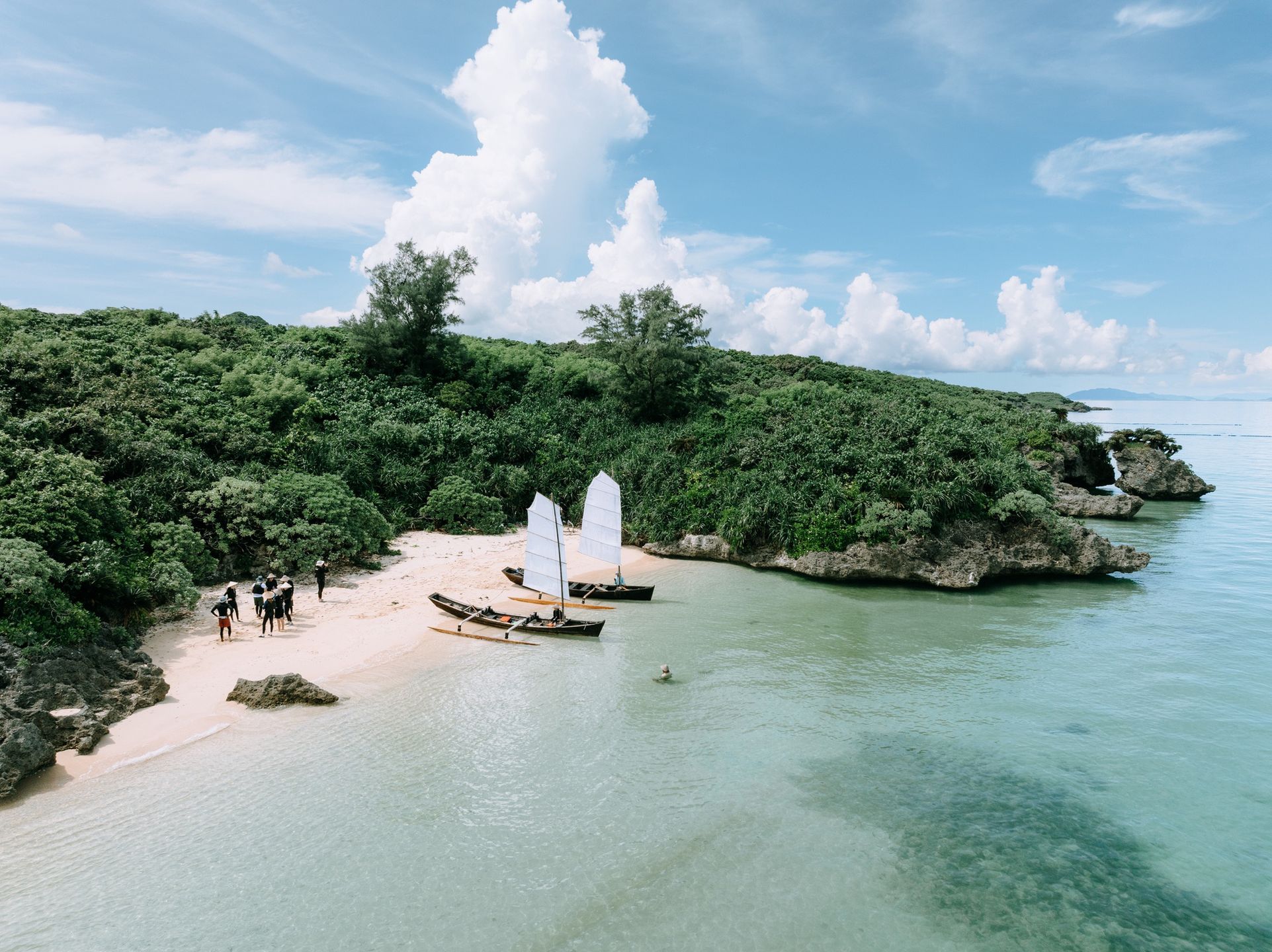 Tropikalne lasy zachwycają 