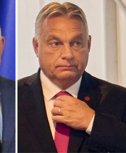 Raport ujawnił prawdę. Politycy V4 atakują dziennikarzy w sieci