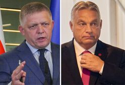 Raport ujawnił prawdę. Politycy V4 atakują dziennikarzy w sieci