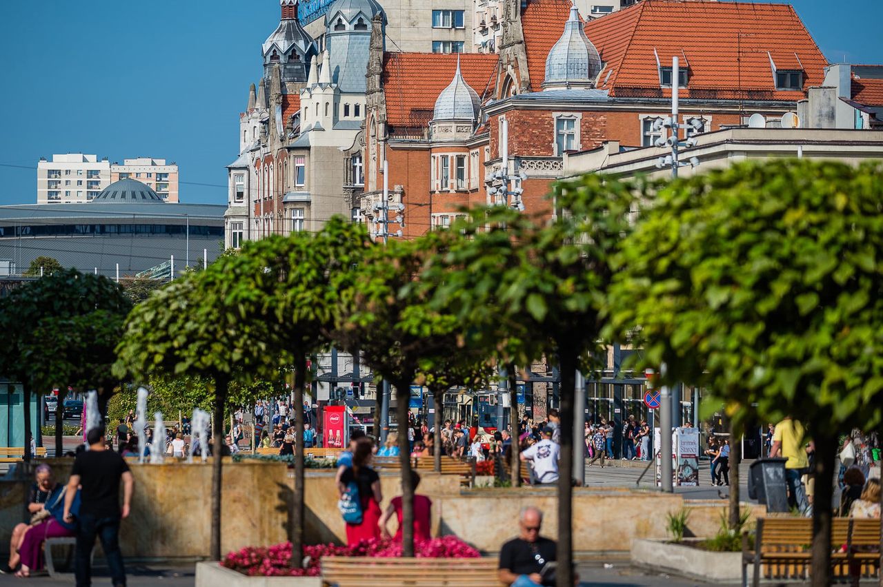 Katowice. Wielka wymiana zieleni w śródmieściu. Efekt już w kwietniu