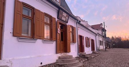 Dziki w Muzeum Wsi Lubelskiej w Lublinie. Obiekt został tymczasowo zamknięty dla odwiedzających