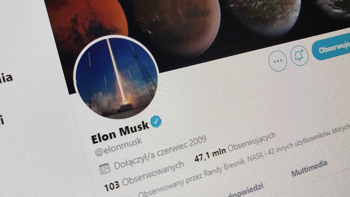 Elon Musk nie rozdaje Bitcoinów na Twitterze /fot. dobreprogramy