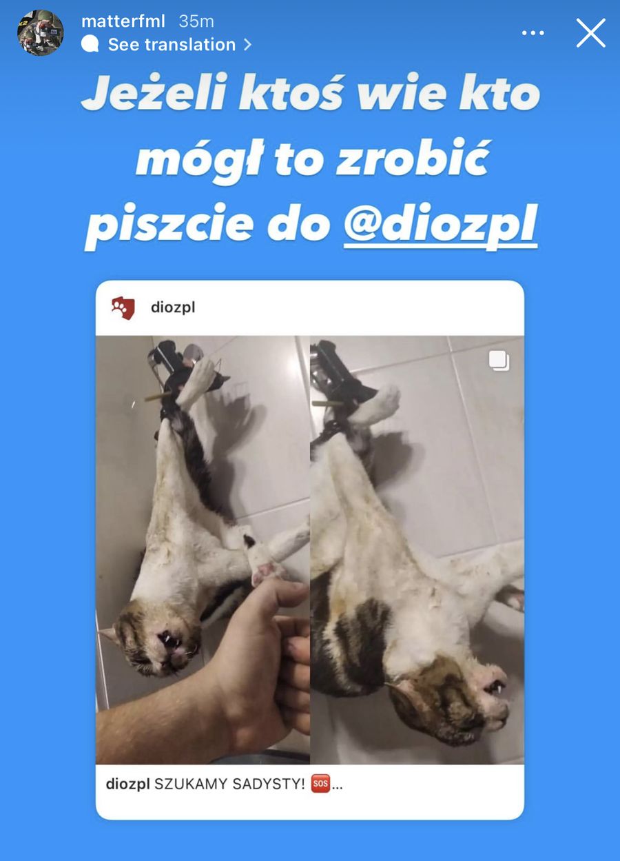 Influencerzy podawali dalej informacje od DIOZ