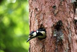 Prognoza pogody na weekend!