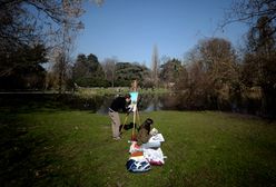 Przyroda budzi się do życia