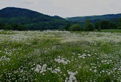 Prognoza pogody na długi weekend majowy