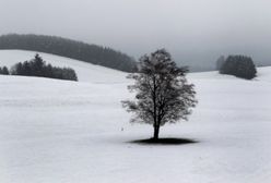 Jaka będzie tegoroczna zima? Zmiana prognozy