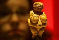 Pochodzimy z Austrii? Naukowcy znaleźli dowody