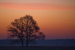 Prognoza długoterminowa - pogoda zwariuje!