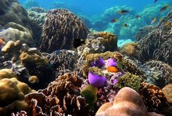 Świat zalany? Ryzyko coraz większe