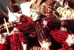 Sztuczna przyszłość ludzkości?