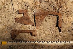 Zaskakujące odkrycie saperów