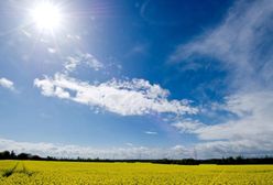 Prognoza pogody na święta