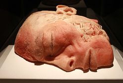 Wystawa "The Human Body Exhibition" w Krakowie