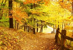 AccuWeather: czeka nas ekstremalna jesień