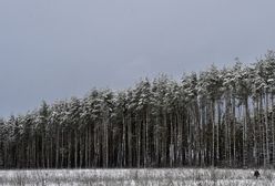 Nadchodzi globalne... ochłodzenie?