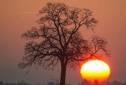 Kiedy przyjdzie wiosna? Fatalne wieści