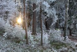 Prognoza długoterminowa - wraca zima, ale śniegu będzie mało