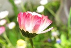 Prognoza pogody na 2015 rok!