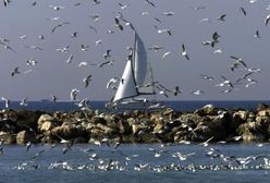 Ocieplenie klimatu coraz szybsze