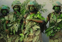 Najwięksi importerzy broni