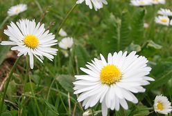 Deszczowy początek lata