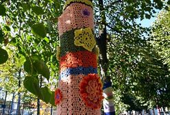 Włóczkowa pajęczyna ozdobiła wrocławski przystanek