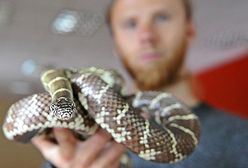 Festiwal Nauki w Szczecinie