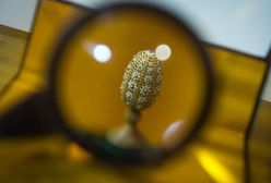 Niewidzialne arcydzieła