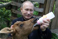 Władimir Putin -  polityk, który potrafi wszystko