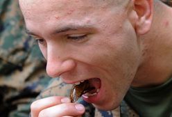 Pili krew kobry i zjadali owady